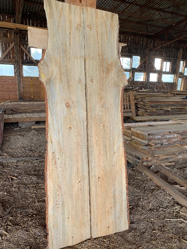 photo of book-matched beetle kill slabs